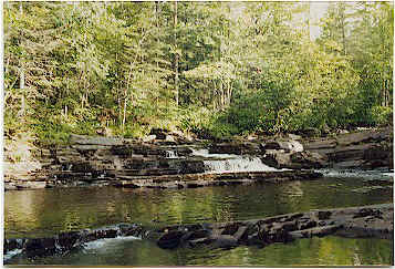 Tranquil creek flowing over layered rocks, surrounded by lush green forest.