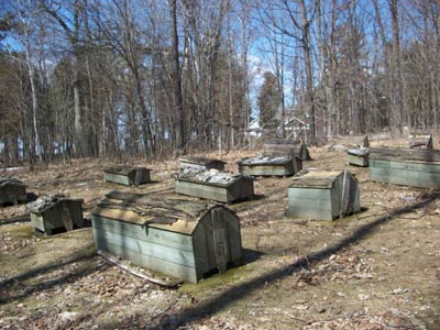 Several small wooden bark structures in a forest, marking the recreated Indian Lake Mission site.