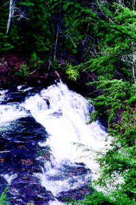 Agate Falls cascades through rocky forest terrain, surrounded by lush evergreens.