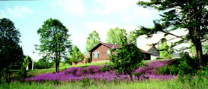 Wooden buildings amid trees and purple wildflowers at Assinins, a historic Ojibwa mission site.