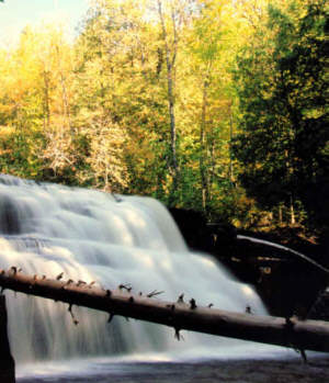 Lush waterfall surrounded by forest, on a sunny day.