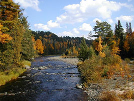 View of the Sturgeon River flanked by autumn colored trees.
