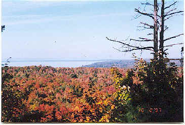 View from the top of Little Mountain overlooking autumn colored trees.