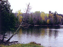 Quiet forest lake near ancient Indigenous site along Ge-Che Trail in Ottawa Forest.