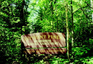  Wooden Estivant Pines Sanctuary sign stands amid lush old-growth forest in Michigan’s Keweenaw.