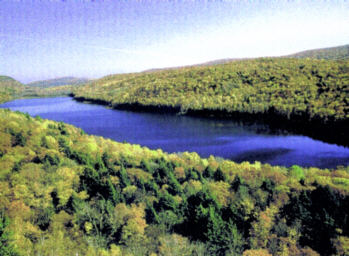 View of a forested lake surrounded by dense green hills.